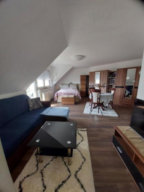 StayInn Möckern - 1 Studio Apartment für 3 Personen -1Zimmer mit Schlafsofa und Doppelbett-kein zweites Zimmer